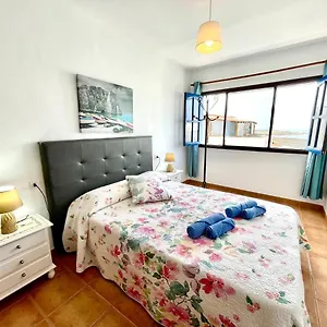 https://turtle-house.in-canary-islands.com